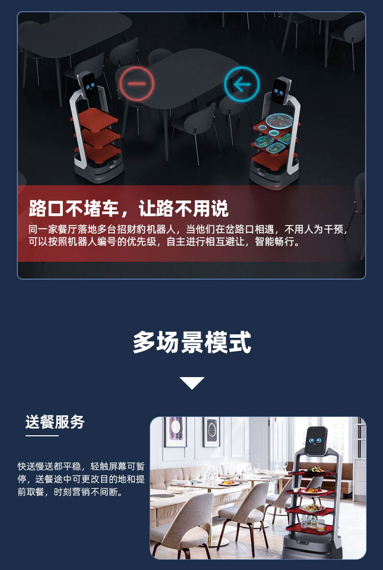 招财豹详情_04.jpg