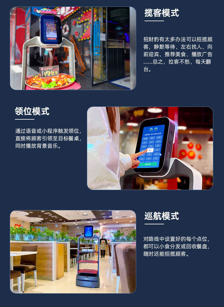 招财豹详情_05.jpg
